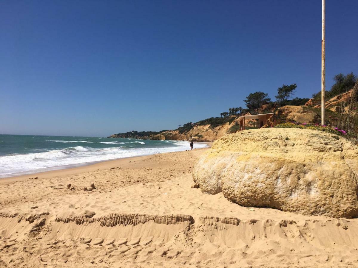 Albufeira Monte Balaia Daire Dış mekan fotoğraf